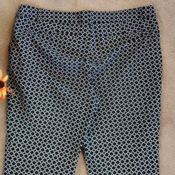 Hilary Radley Cropped Pants - Picture 4 of 7